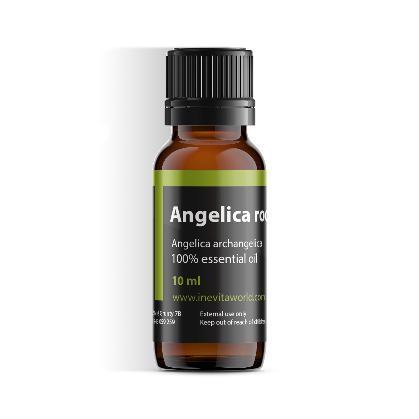 Angelica root-0