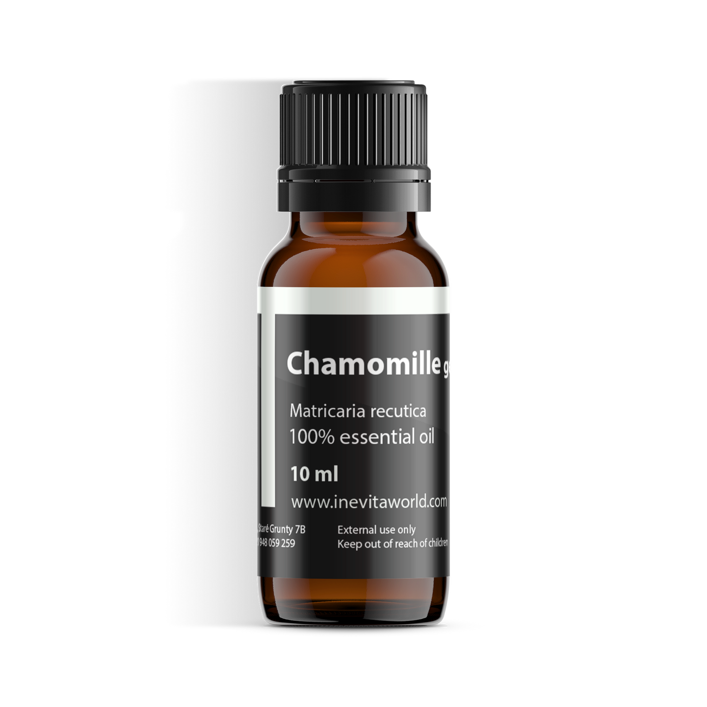 German chamomille-0