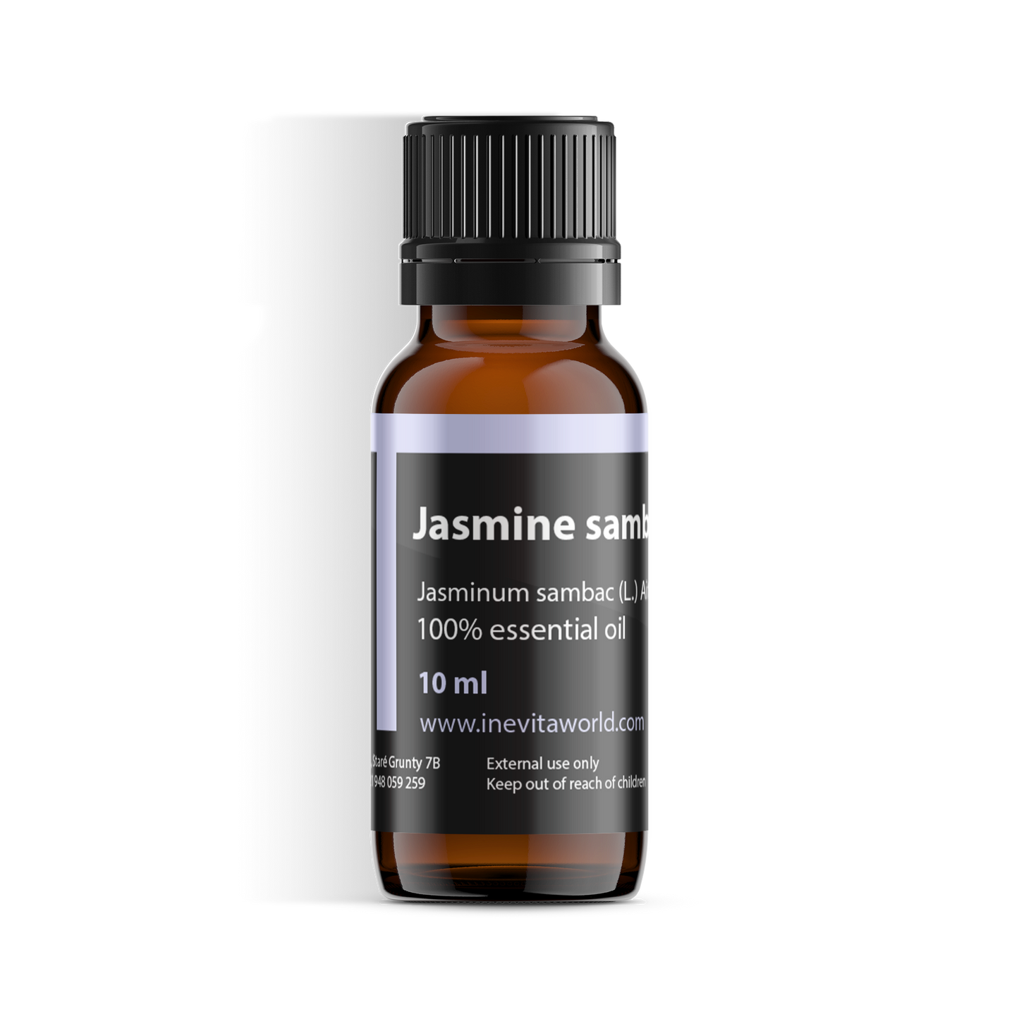 Jasmine Sambac-0