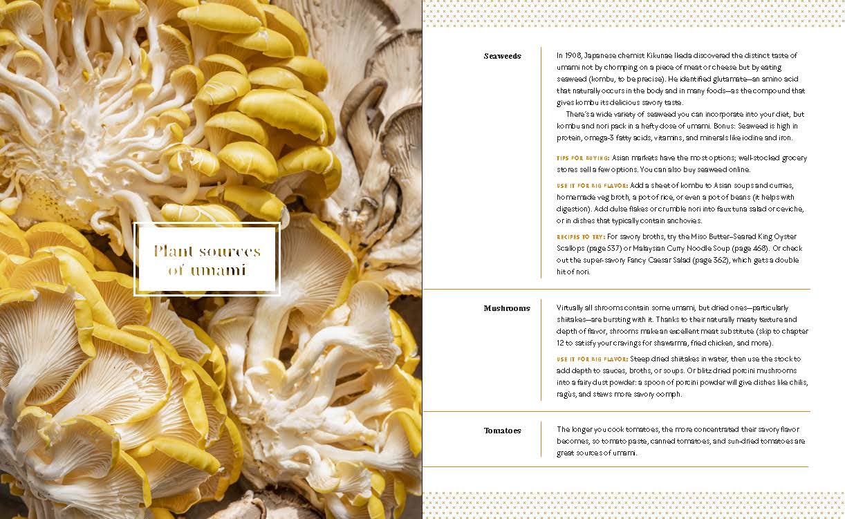 Big Vegan Flavor: Techniques and 150 Recipes to Master Vegan Cooking