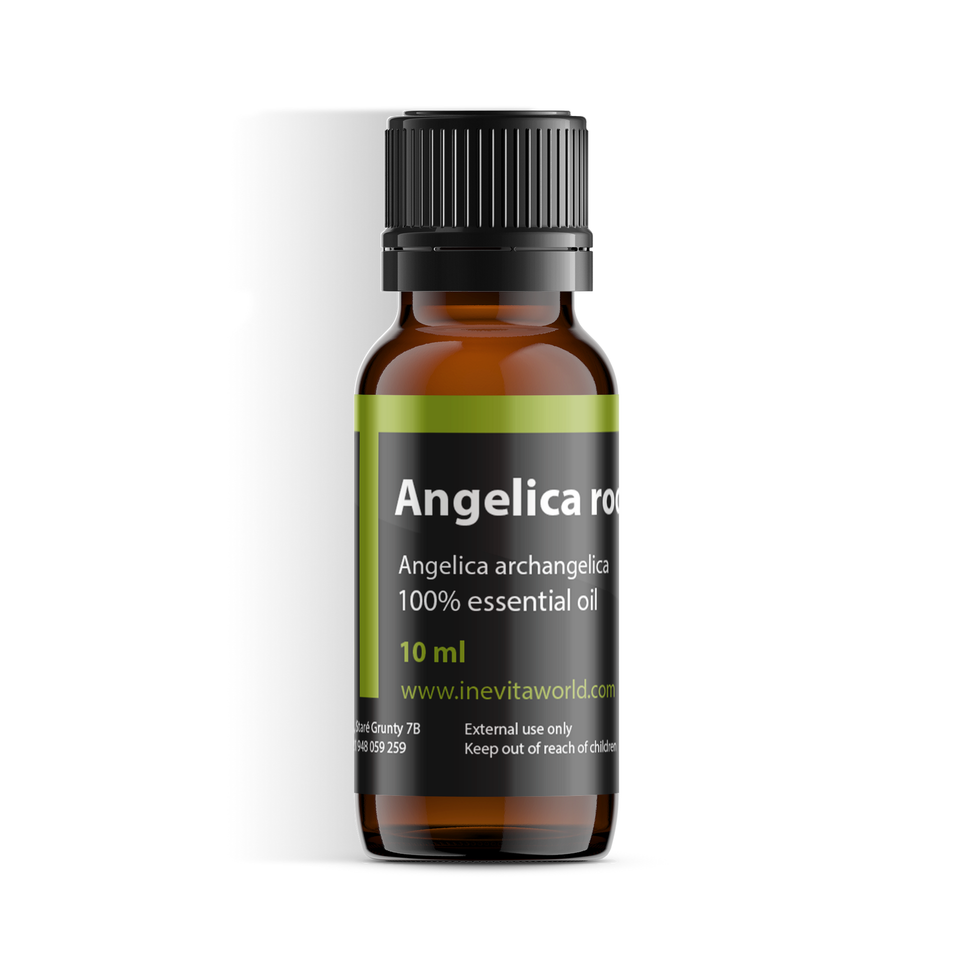 Angelica root-0
