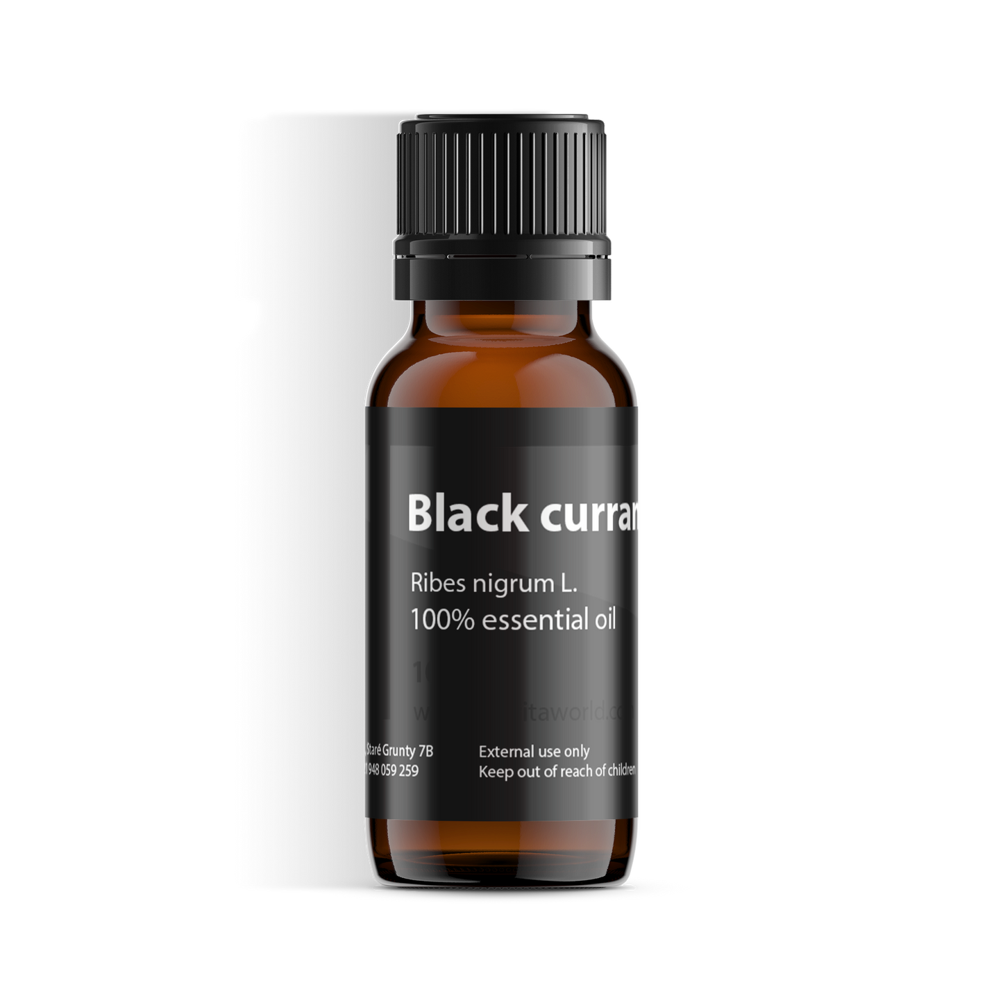 Black Currant Berry Absolute-0