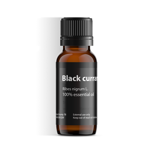 Black Currant Berry Absolute-0