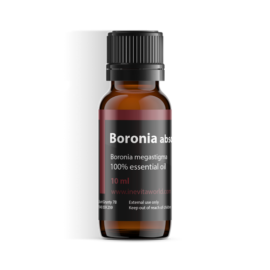 Boronia Absolute-0