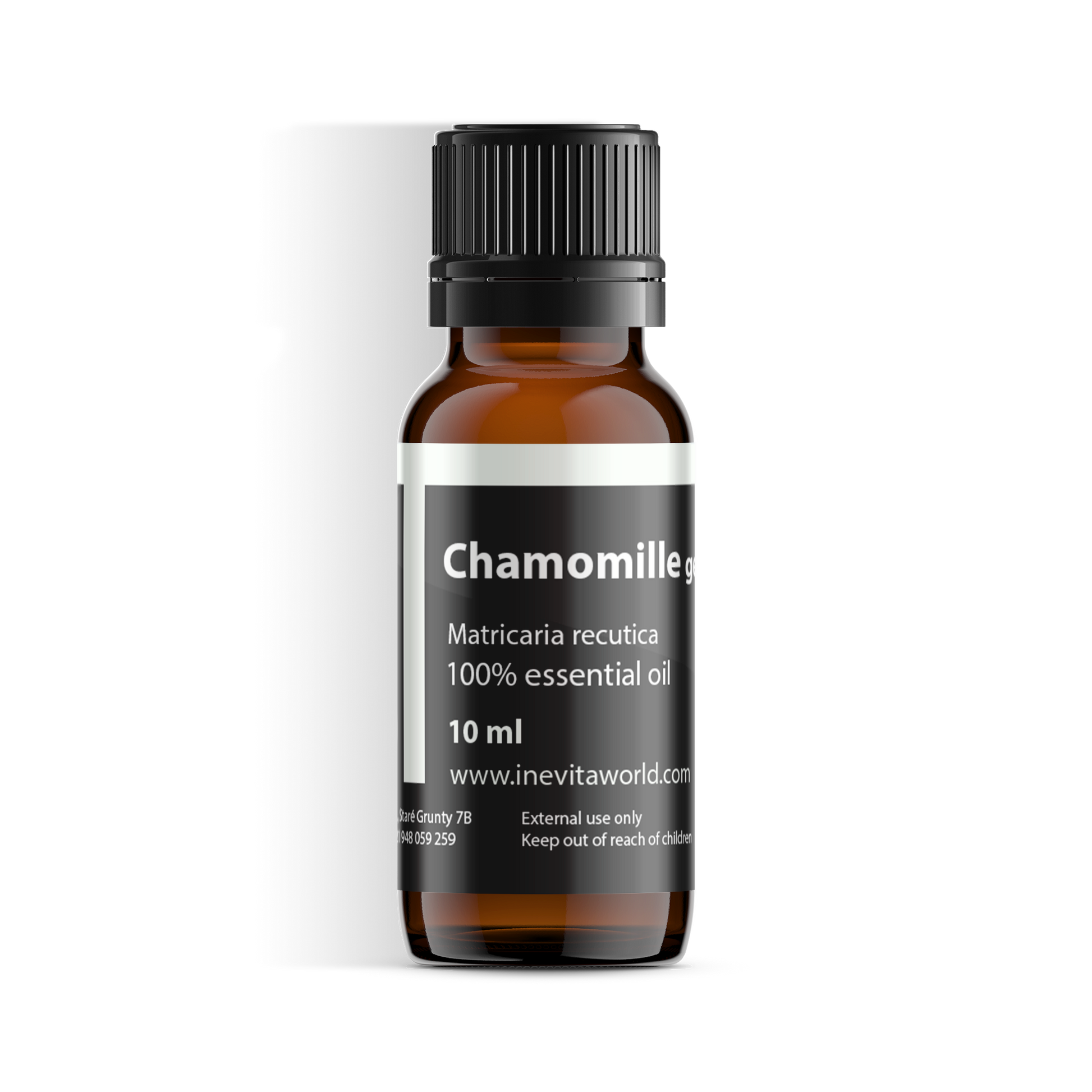 German chamomille-0