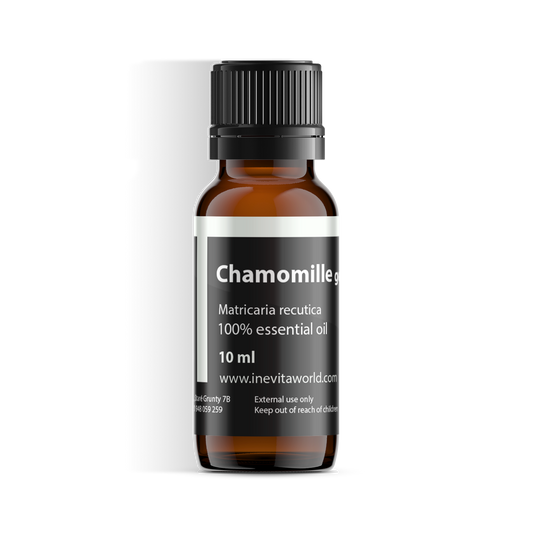 German chamomille-0