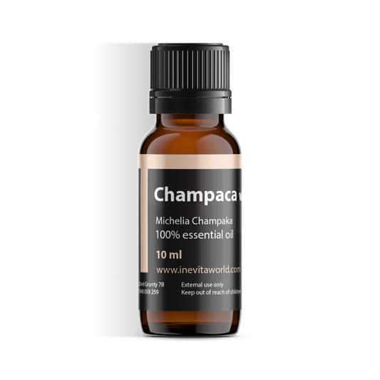 Champaca White Absolute-0