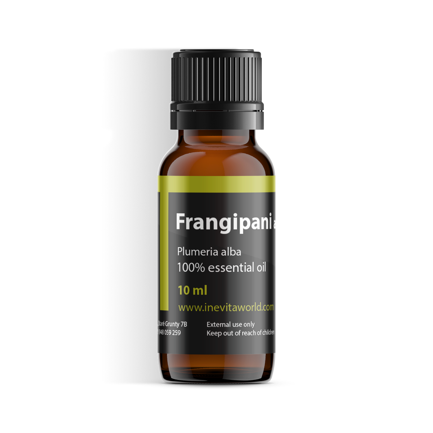 Frangipani Absolute-0