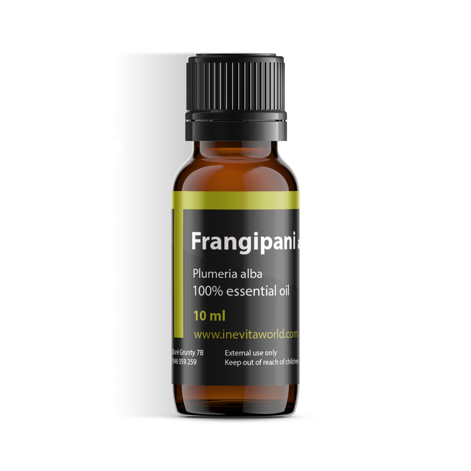 Frangipani Absolute-0