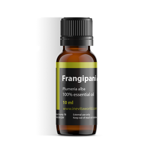 Frangipani Absolute-0