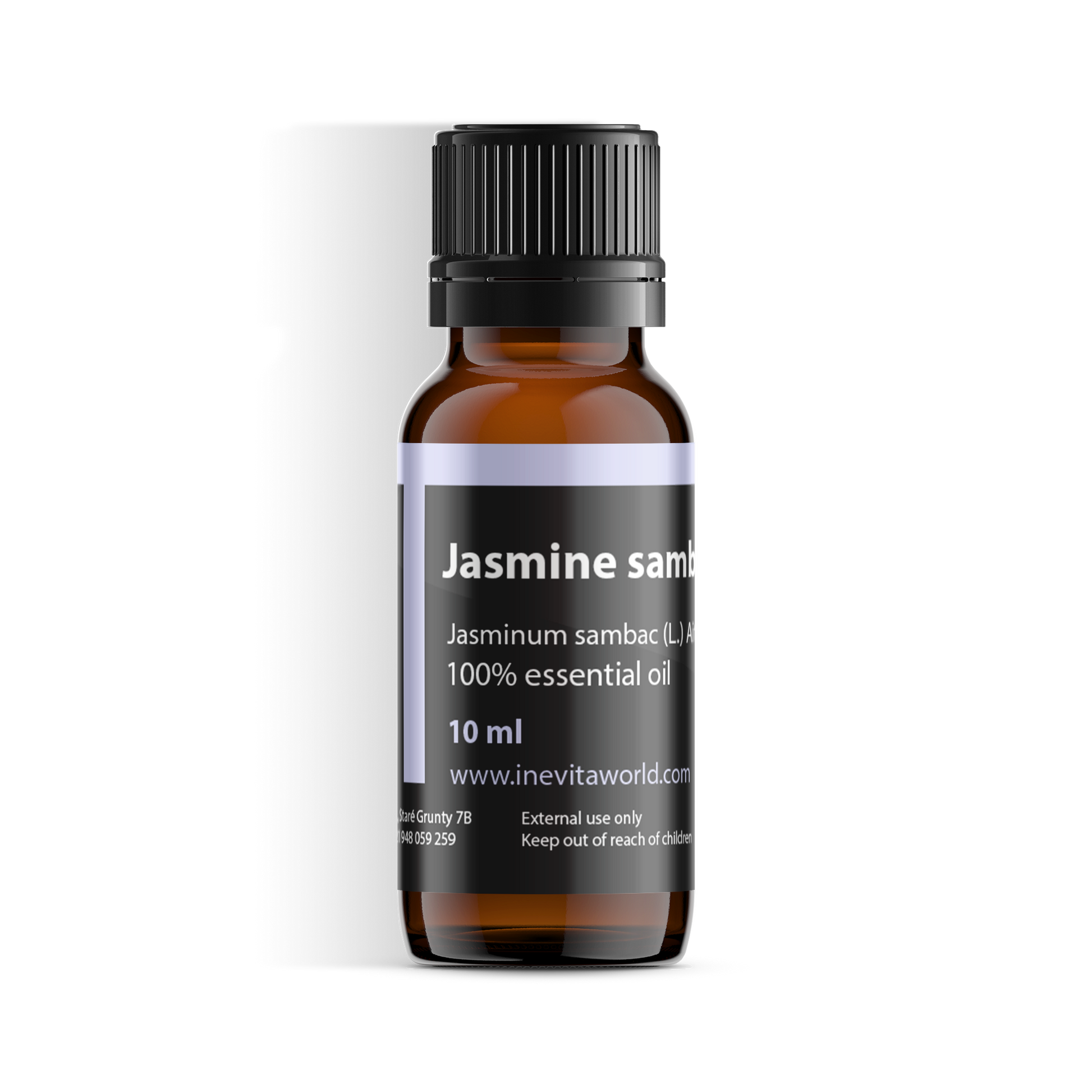 Jasmine Sambac-0