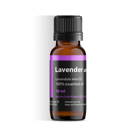 Lavender Absolute-0