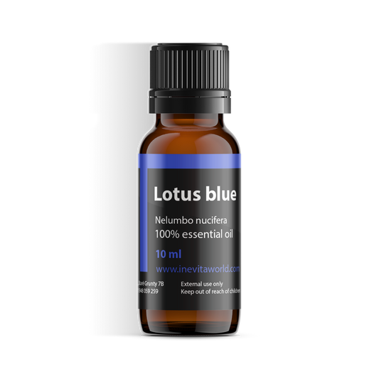 Lotus Blue Absolute-0