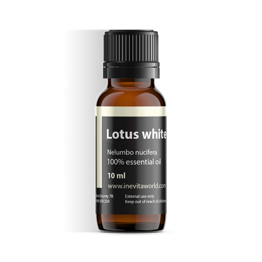 Lotus White Absolute-0