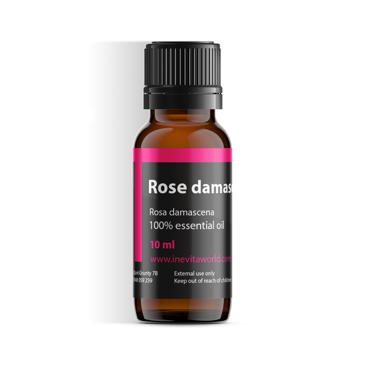 Rose Damask Absolute-0