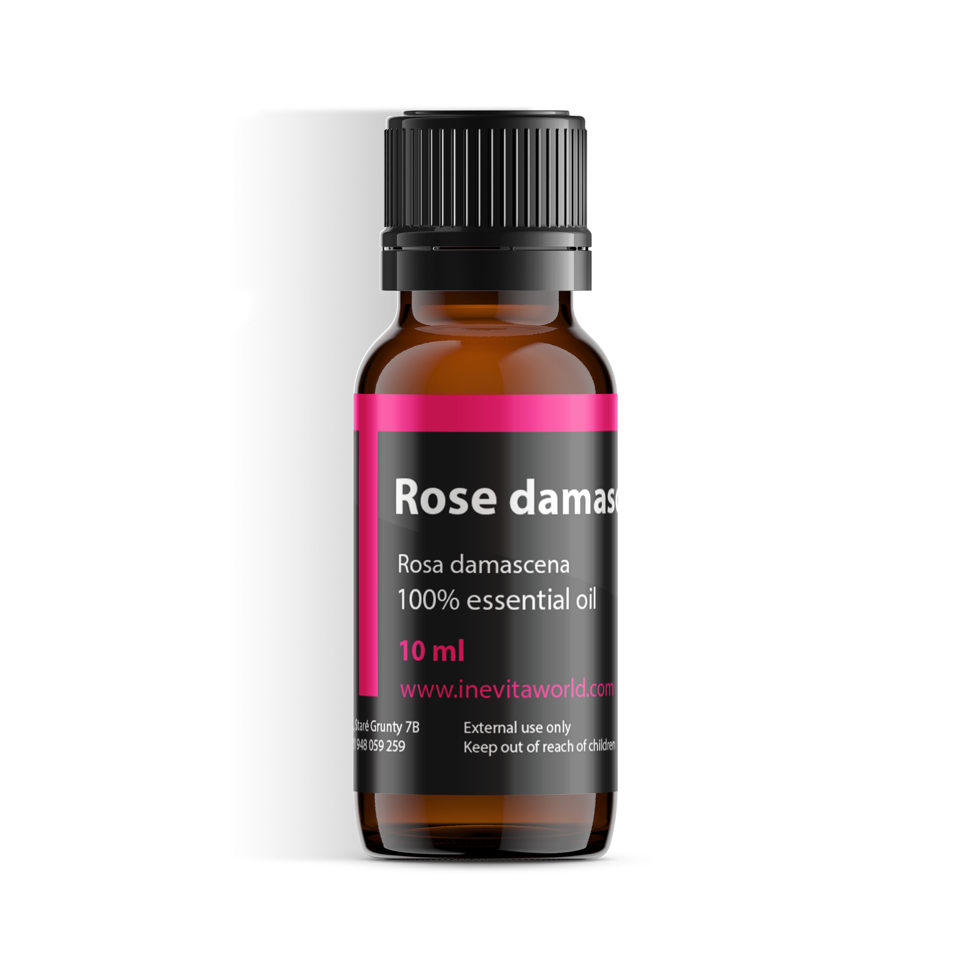Rose Damask Absolute-0