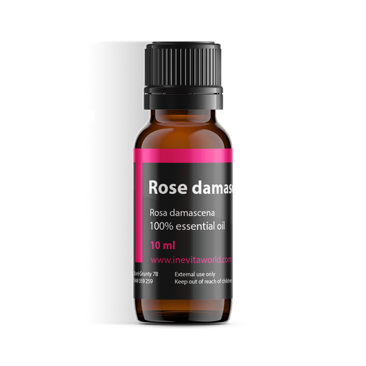 Rose Damask Absolute-0
