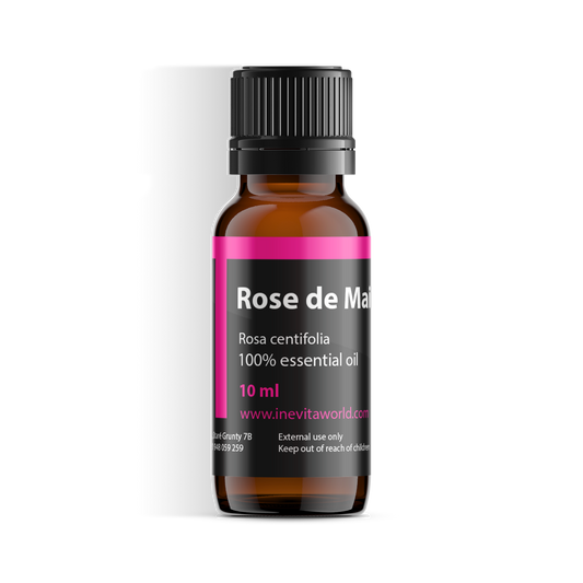 Rose de Mai-0