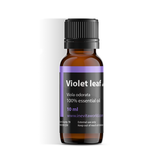 Violet Leaf Absolute-0