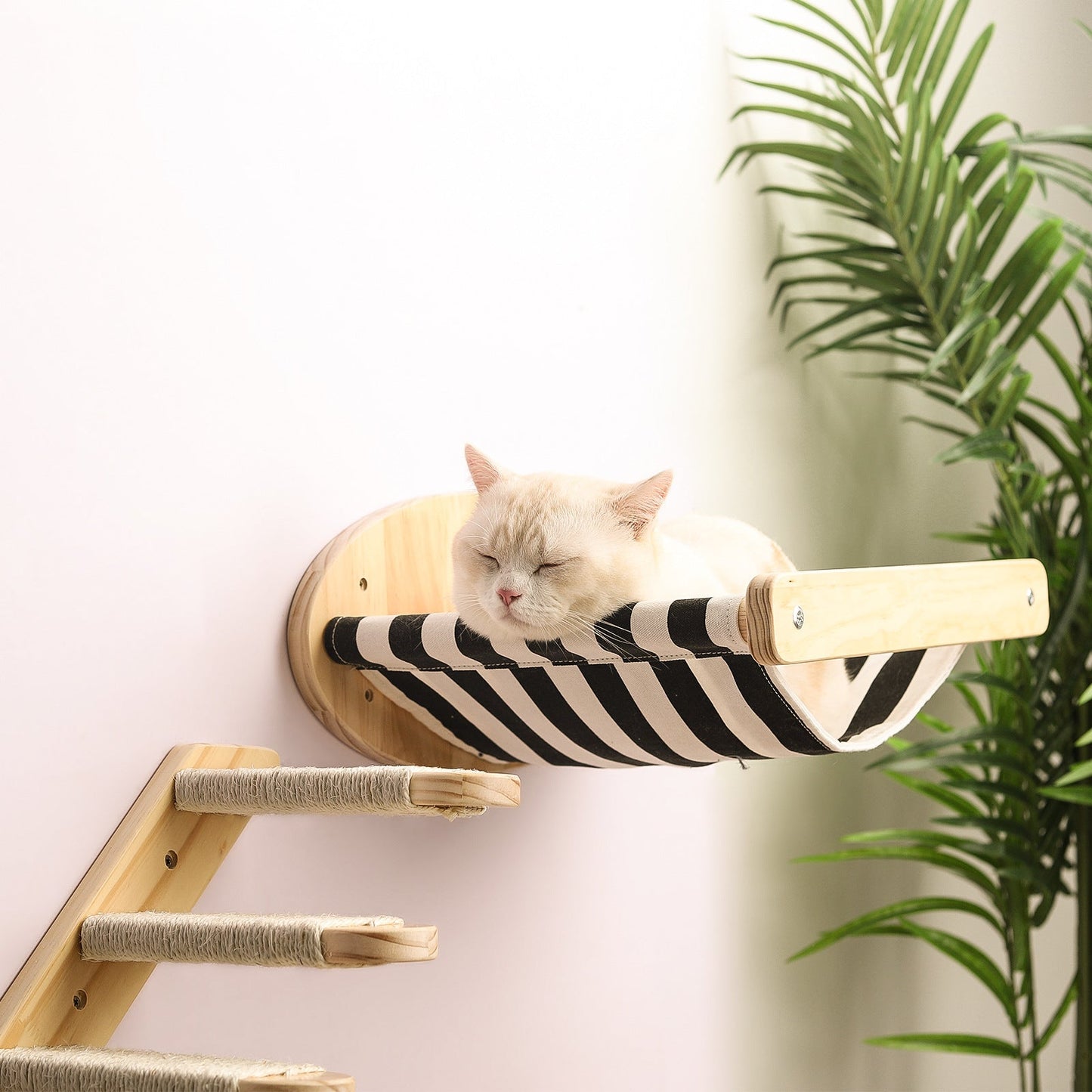 Rascador de Pared de Madera Maciza y Sisal para Gatos – Juguete Multifuncional
