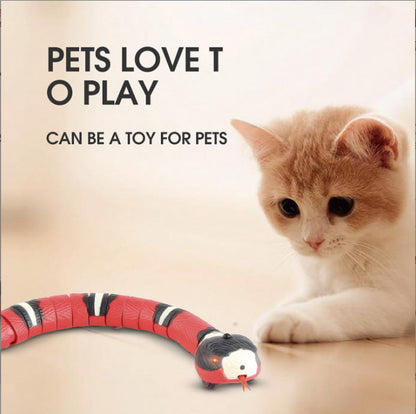 Juguete Eléctrico Interactivo de serpiente para Gatos y Perros
